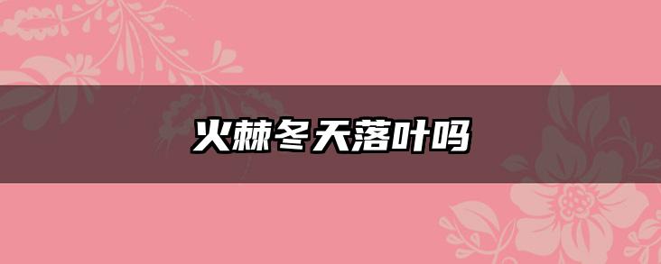 火棘冬天落叶吗