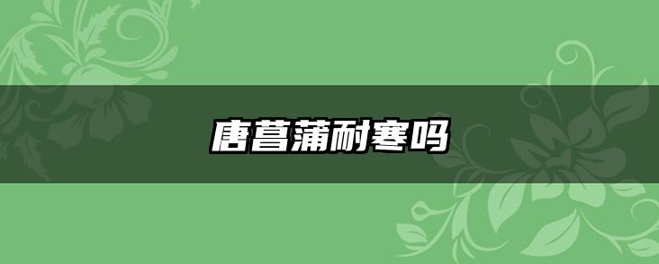 唐菖蒲耐寒吗