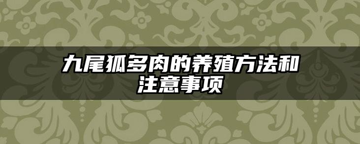 九尾狐多肉的养殖方法和注意事项