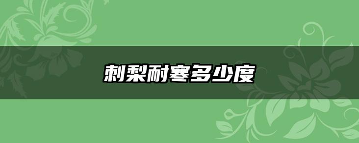 刺梨耐寒多少度