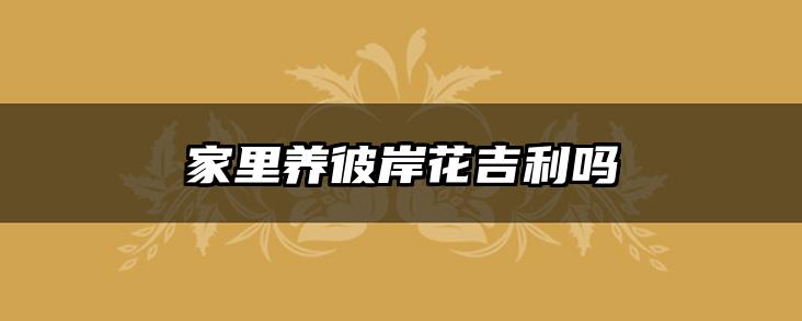 家里养彼岸花吉利吗