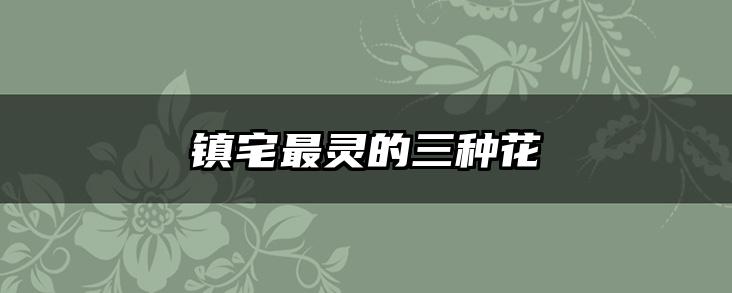 镇宅最灵的三种花