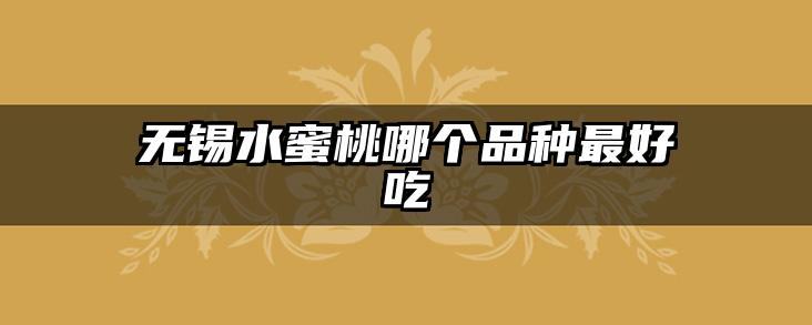 无锡水蜜桃哪个品种最好吃