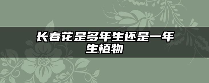 长春花是多年生还是一年生植物