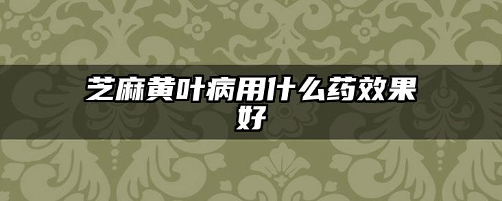芝麻黄叶病用什么药效果好