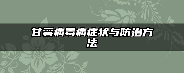 甘薯病毒病症状与防治方法