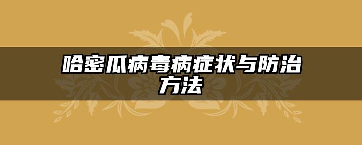 哈密瓜病毒病症状与防治方法