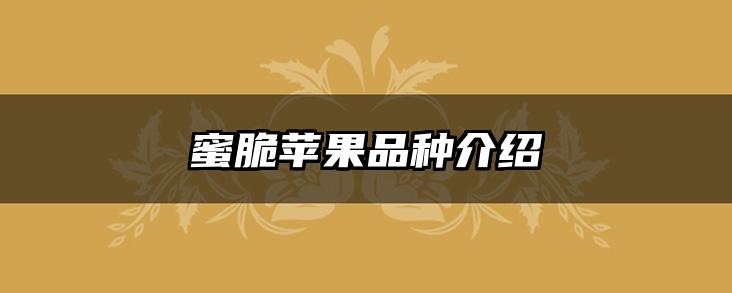 蜜脆苹果品种介绍