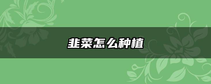 韭菜怎么种植