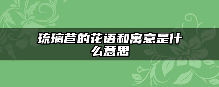 琉璃苣的花语和寓意是什么意思
