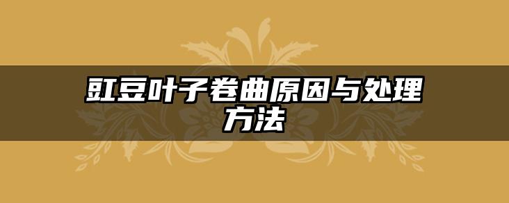 豇豆叶子卷曲原因与处理方法