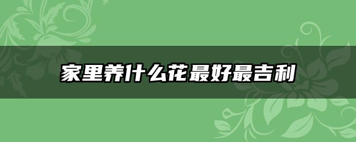 家里养什么花最好最吉利