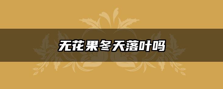 无花果冬天落叶吗