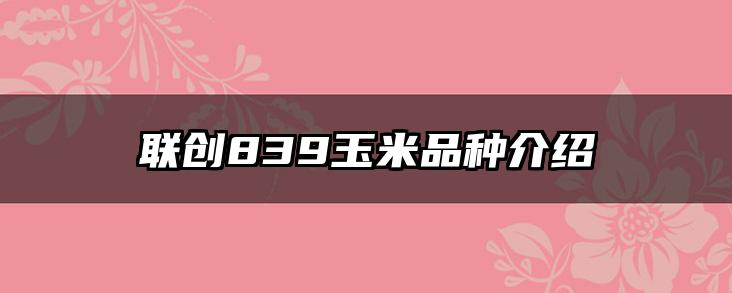 联创839玉米品种介绍