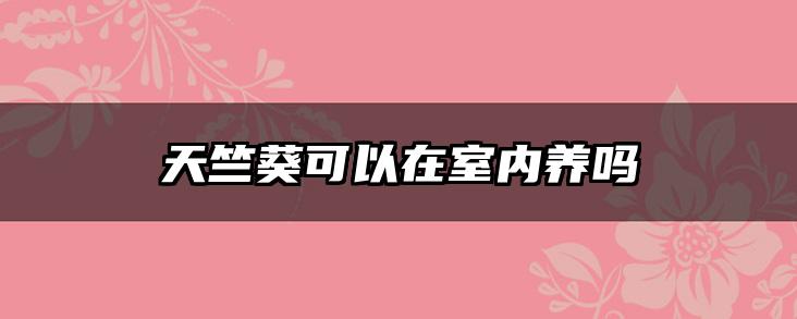 天竺葵可以在室内养吗