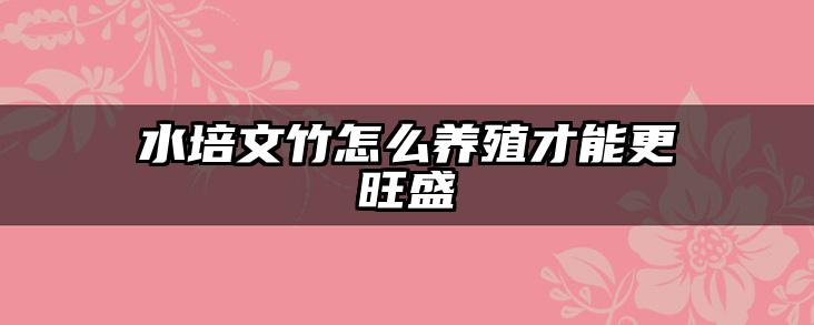 水培文竹怎么养殖才能更旺盛