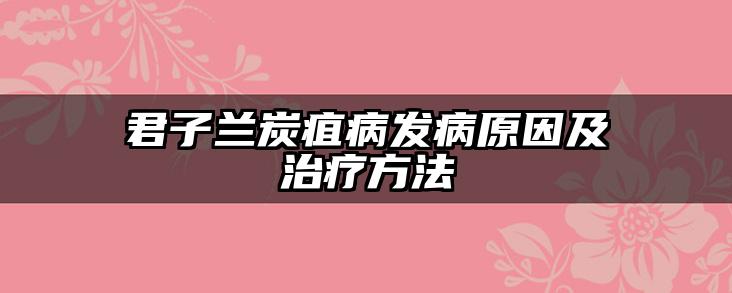 君子兰炭疽病发病原因及治疗方法