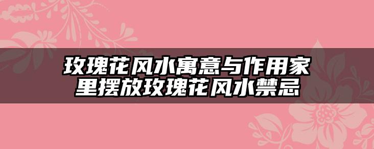 玫瑰花风水寓意与作用家里摆放玫瑰花风水禁忌