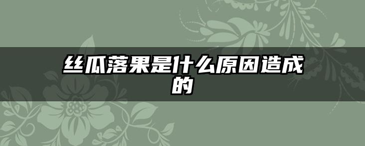丝瓜落果是什么原因造成的