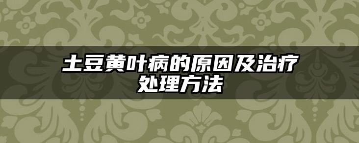 土豆黄叶病的原因及治疗处理方法