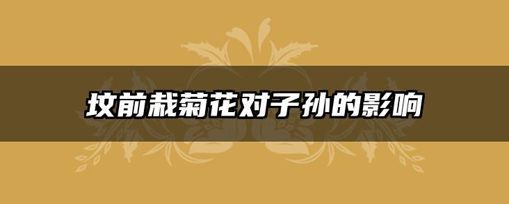 坟前栽菊花对子孙的影响