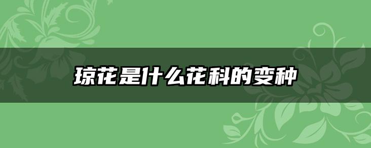 琼花是什么花科的变种