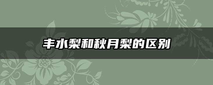 丰水梨和秋月梨的区别