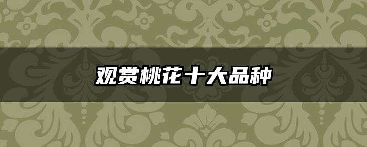 观赏桃花十大品种
