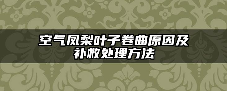 空气凤梨叶子卷曲原因及补救处理方法
