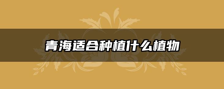 青海适合种植什么植物
