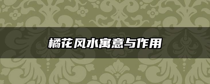 橘花风水寓意与作用
