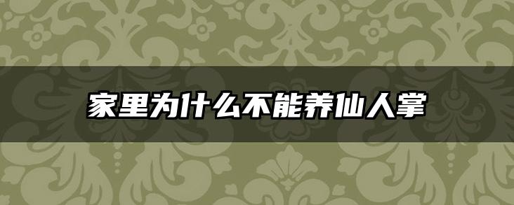 家里为什么不能养仙人掌
