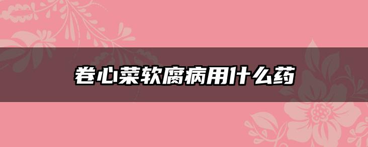 卷心菜软腐病用什么药