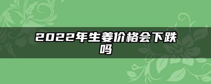 2022年生姜价格会下跌吗