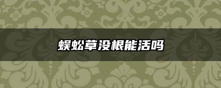 蜈蚣草没根能活吗