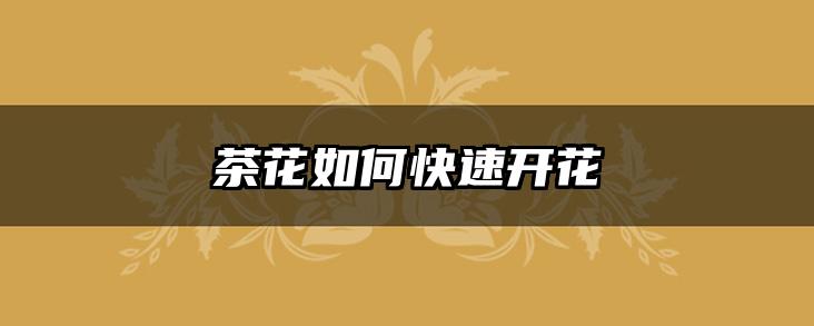 茶花如何快速开花
