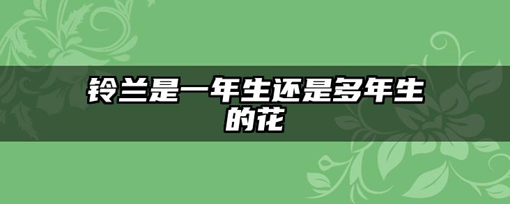 铃兰是一年生还是多年生的花