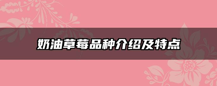 奶油草莓品种介绍及特点