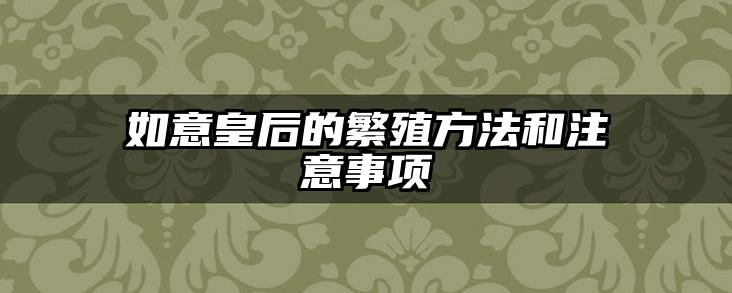 如意皇后的繁殖方法和注意事项