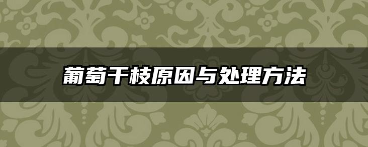 葡萄干枝原因与处理方法