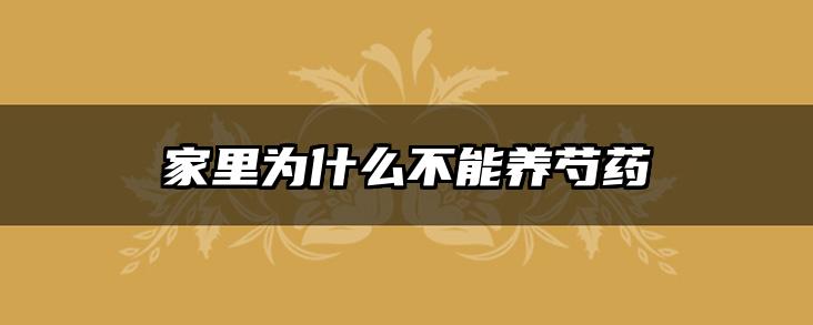 家里为什么不能养芍药