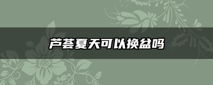 芦荟夏天可以换盆吗
