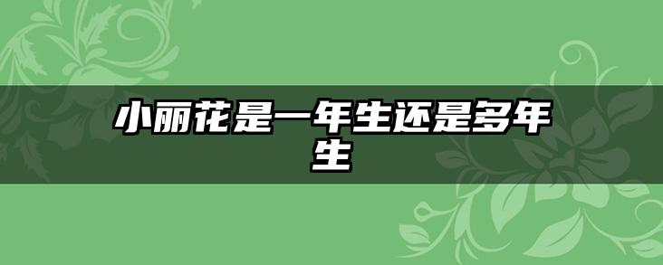 小丽花是一年生还是多年生