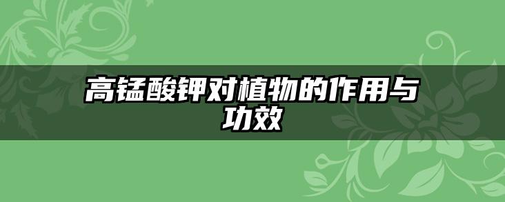 高锰酸钾对植物的作用与功效