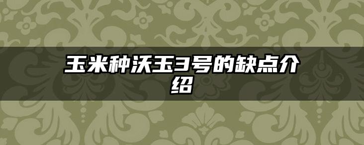 玉米种沃玉3号的缺点介绍