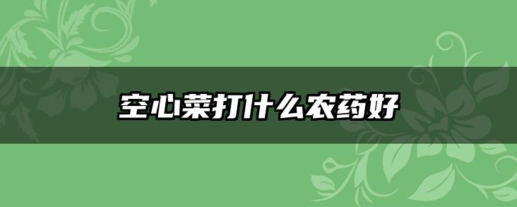 空心菜打什么农药好
