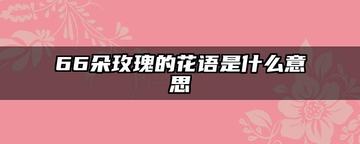 66朵玫瑰的花语是什么意思