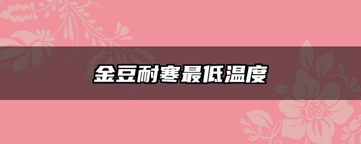 金豆耐寒最低温度