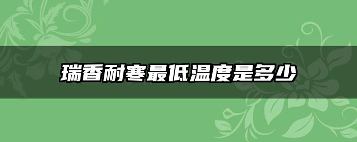瑞香耐寒最低温度是多少