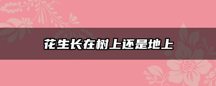 花生长在树上还是地上